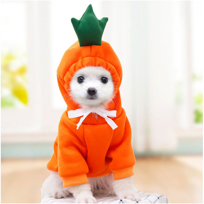 Winter Clothing Pictures - Leuke Fruit Hondenkleding voor Kleine Honden