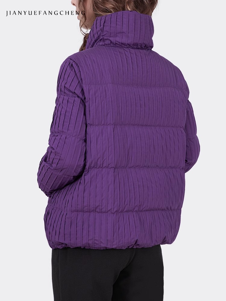 2024 Winter Mode Vrouwen Paars - Puffer Jacket Women Down recensie en prijs