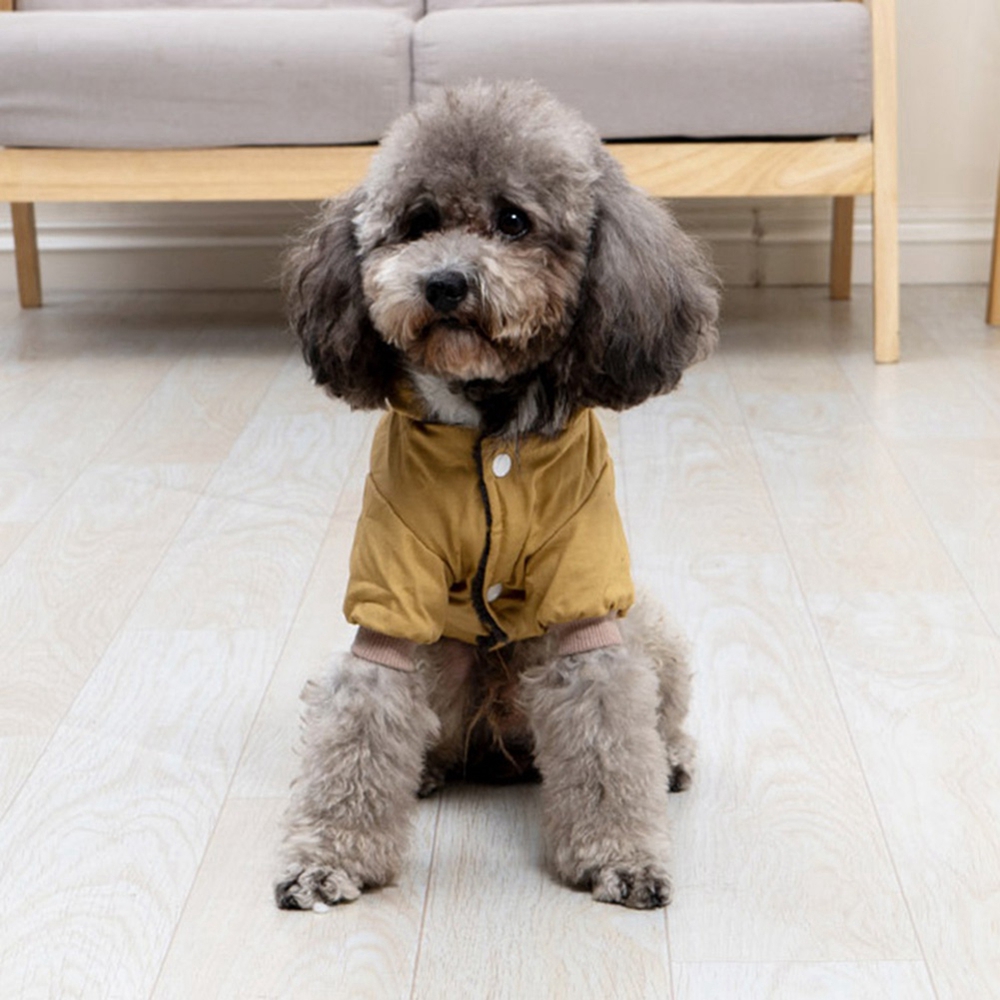 Wintermode hond jas voor klein - Jacket Winter Clothing recensie en prijs