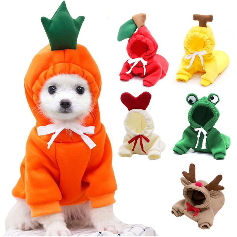 Leuke Fruit Hondenkleding voor - Winter Clothing Pictures recensie en prijs