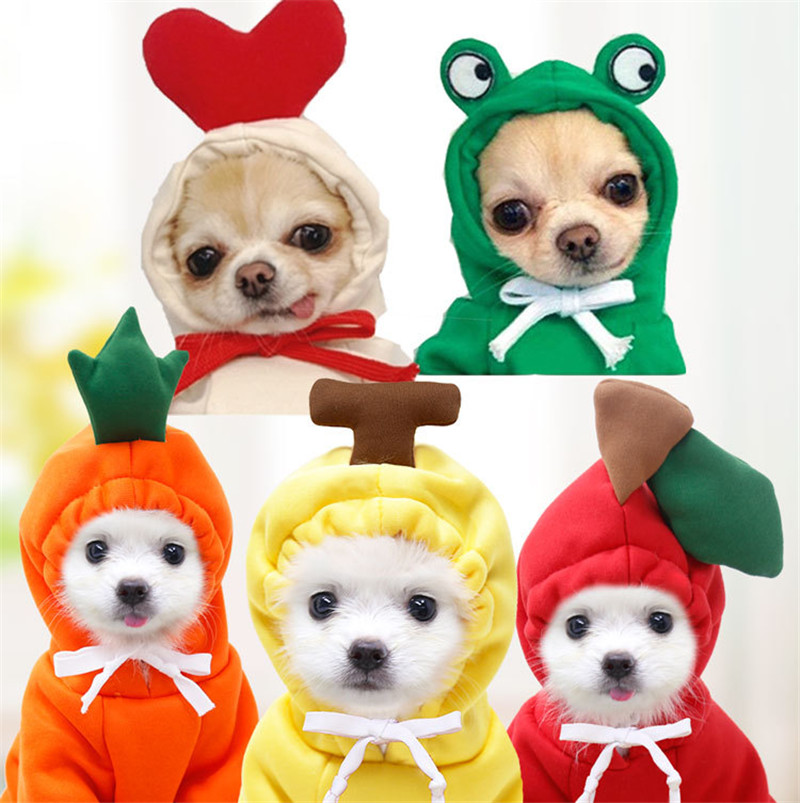 Leuke Fruit Hondenkleding voor - Winter Clothing Pictures recensie en prijs