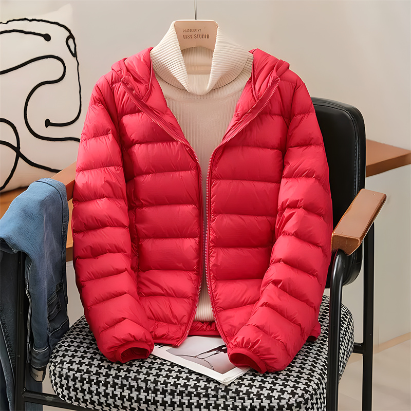 Plus Size Dames Koreaanse Slan - Puffer Jacket Women Down recensie en prijs